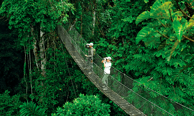 see-sight-hang-bridge-amazon