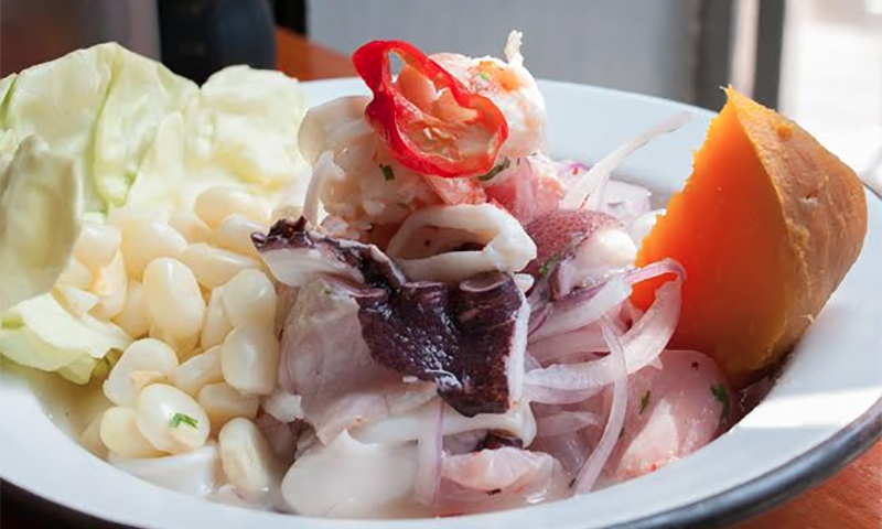 andean-highlights-ceviche